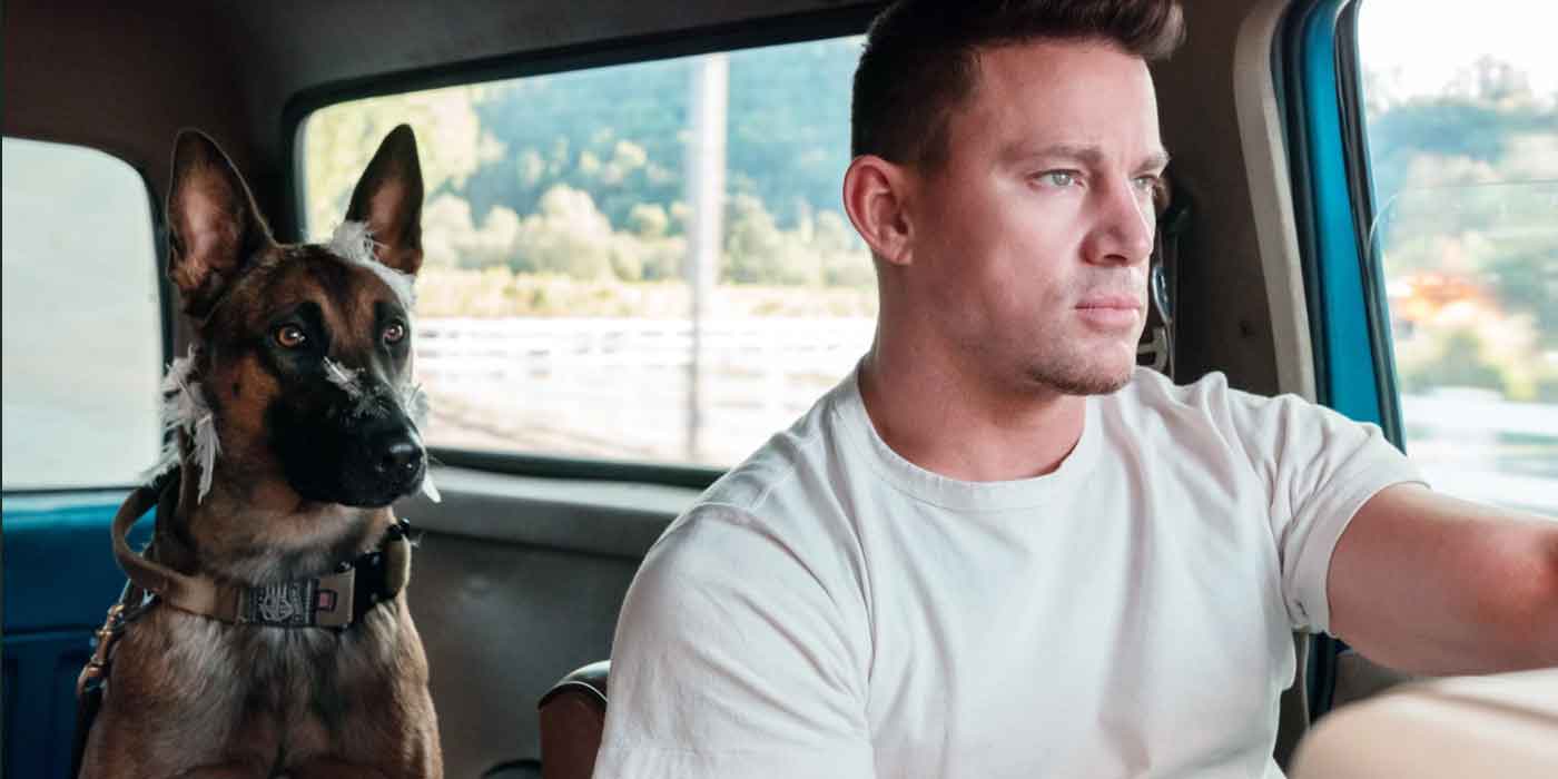 review dog (2022)3