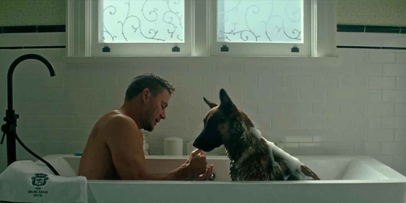 review dog (2022)4