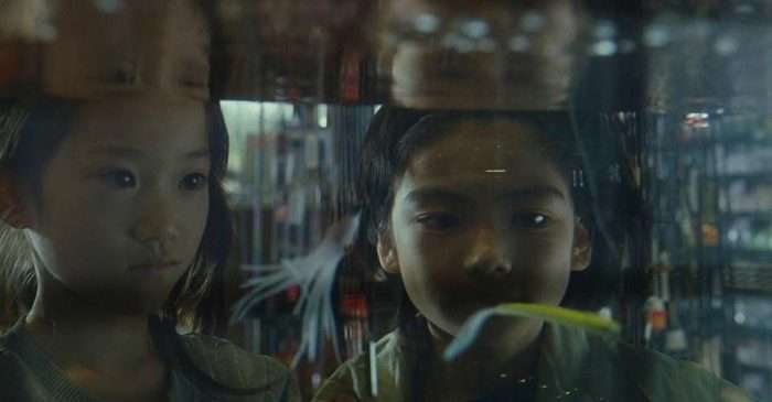 review shoplifters (2018) 3